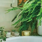 우리 동네 트렌드 시리즈