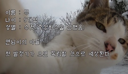 사진출처: haha ha