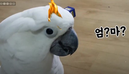 사진출처: 태공도사 