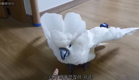 사진출처: 태공도사 