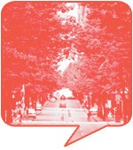 노햇님(프리랜스 에디터, 32세)