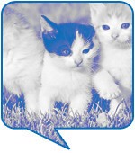 천휘원(설치미술 어시스턴트, 29세)