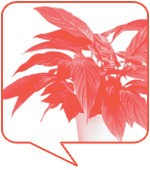 이소연(정유사 영업, 34세)