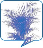 이잎새(스타일리스트, 36세)