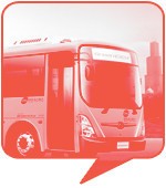 장은지(모터트렌드 에디터, 32세)