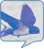 유현욱(회사원, 37세)