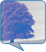 박지혜(스타일리스트, 33세)