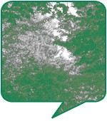 한예솔(취업준비생, 26세)