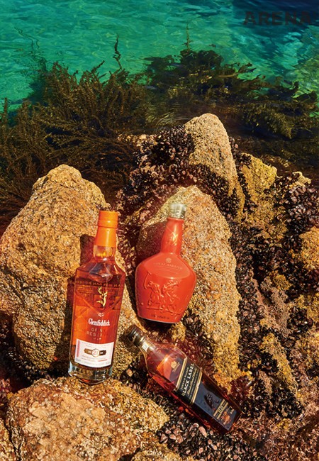 (왼쪽부터) 무화과와 바닐라 향이 달콤한 ‘글렌피딕 21년 그랑 레제르바’, 하이볼로 제조하여 마시면 본연의 깊은 풍미가 더욱 돋보이는 ‘조니워커 블랙’, 플루티한 향이 풍성한 위스키 ‘로얄살루트 21년 에스텐시아 폴로 에디션.’