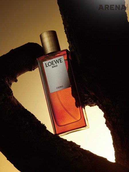 삼나무 노트에 촉촉하게 젖은 바위에서 느껴지는 너트맥과 라벤더 향의 조화를 담은 솔로 세드로 오 드 뚜왈렛 뿌르 옴므 50mL 11만5천원 로에베 by 세포라 제품.