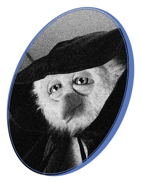 딩동댕 대학교 붱철 조교