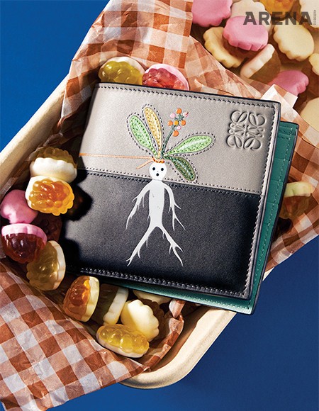 맨드레이크 프린트가 눈에 띄는 투톤 컬러 지갑 가격미정 로에베.