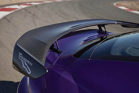 리어 스포일러 옆에 바이삭 레이스 트랙을 붙였다.