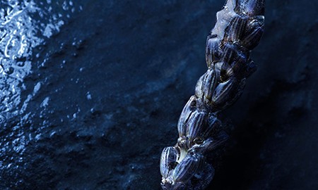 라벤더와 머스크를 주원료로
사용해 아이코닉한 소바쥬의
남성적이고 상쾌한 향취를
감각적으로 재해석한 소바쥬 오
포트.