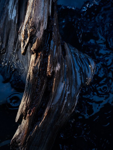 라벤더와 머스크를 주원료로
사용해 아이코닉한 소바쥬의
남성적이고 상쾌한 향취를
감각적으로 재해석한 소바쥬 오
포트.