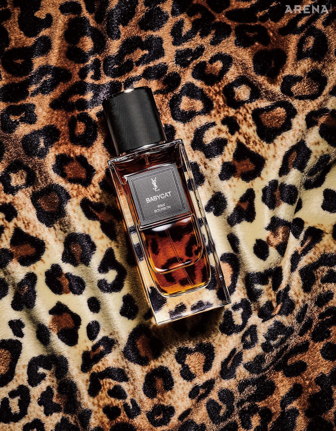 베이비캣 오 드 빠르펭 75mL 37만원대 입생로랑 뷰티 제품.