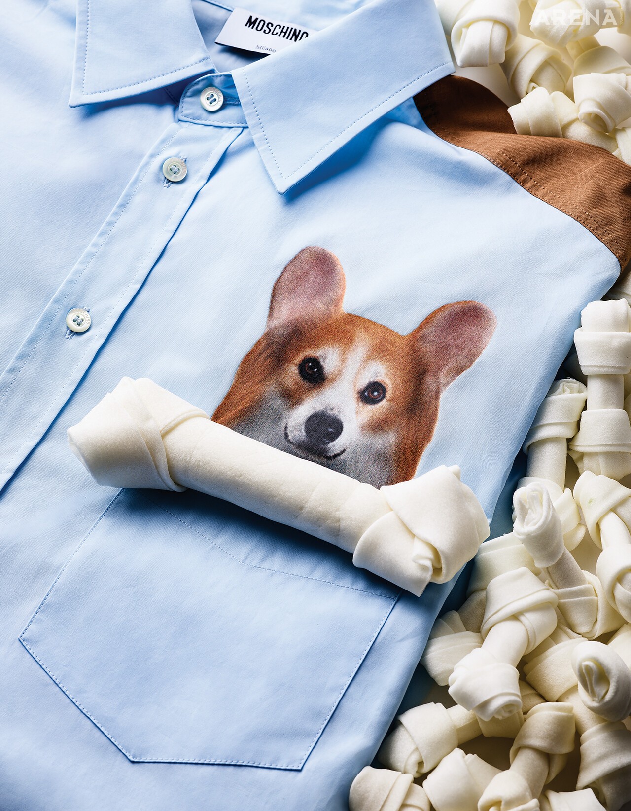 포켓 위에 강아지 얼굴을 프린트한 포플린 셔츠 117만원 모스키노 제품.