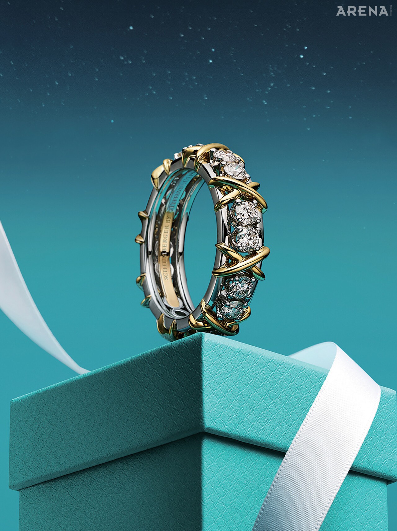 18K 골드와 플래티넘 소재 밴드에 다이아몬드를 섬세하게 세팅한 식스틴 스톤 링 가격미정 티파니앤코 제품.