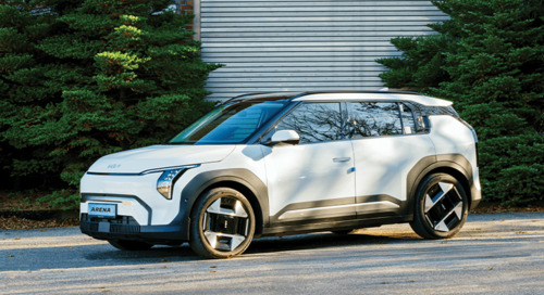 유용하거나 탐스럽거나