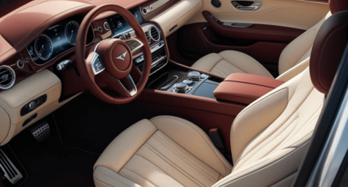 왓츠 인 마이 카