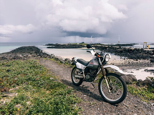 제주를 즐기는 특별한 방법