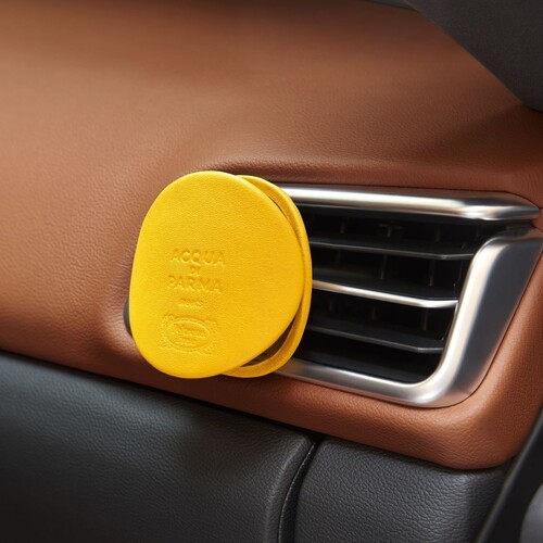 차꾸를 위한 방향제 5