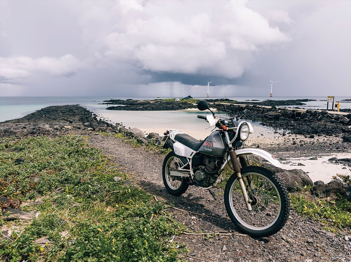 제주를 즐기는 특별한 방법
